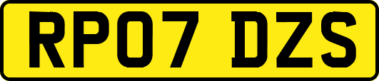 RP07DZS