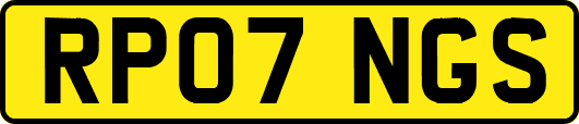 RP07NGS