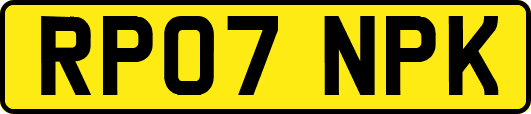 RP07NPK