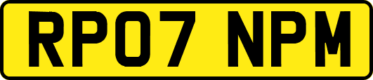 RP07NPM