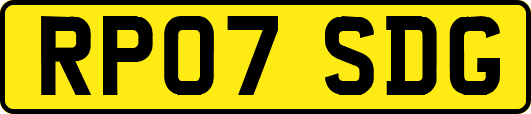 RP07SDG