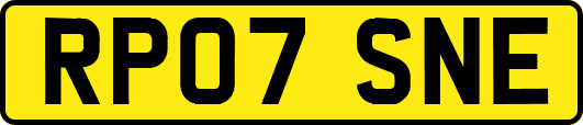 RP07SNE