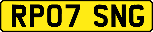 RP07SNG