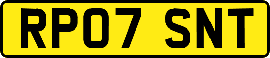 RP07SNT