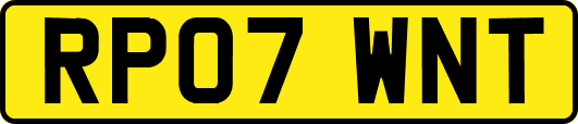 RP07WNT