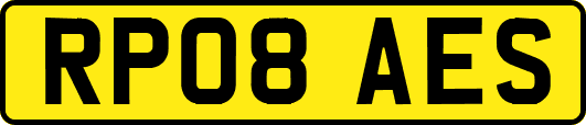 RP08AES