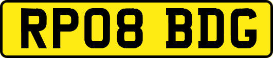 RP08BDG