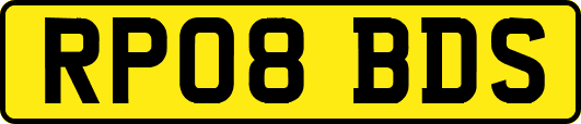 RP08BDS