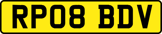 RP08BDV