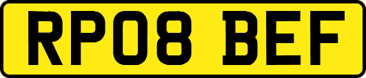 RP08BEF