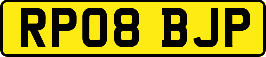 RP08BJP