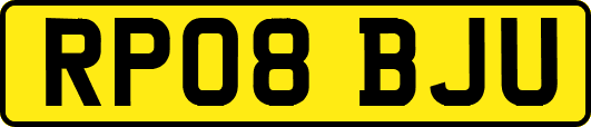RP08BJU