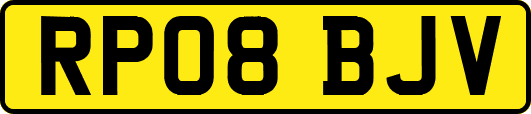 RP08BJV