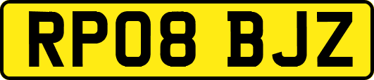 RP08BJZ
