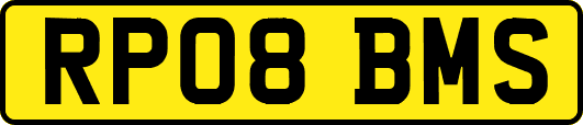 RP08BMS