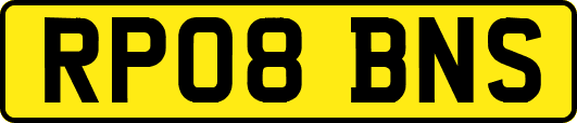 RP08BNS