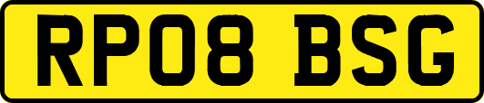 RP08BSG