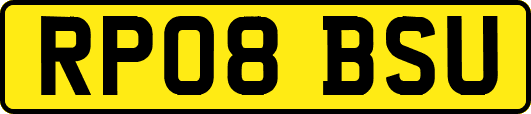 RP08BSU