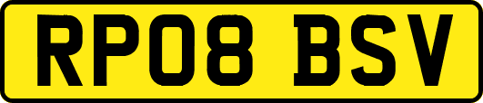 RP08BSV