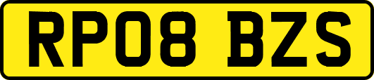 RP08BZS