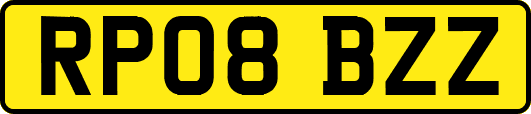 RP08BZZ