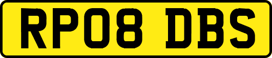 RP08DBS