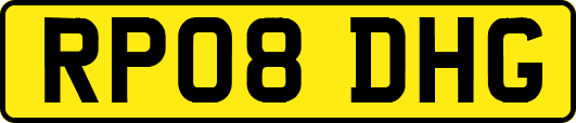 RP08DHG
