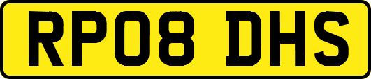 RP08DHS