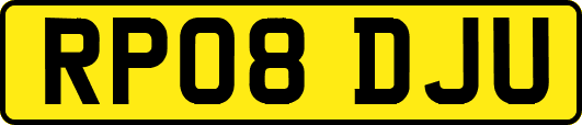 RP08DJU