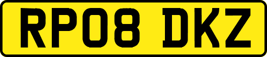 RP08DKZ
