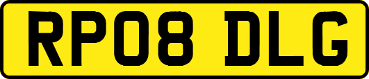 RP08DLG