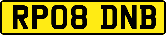 RP08DNB
