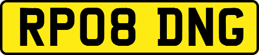 RP08DNG