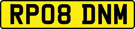 RP08DNM