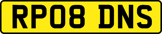 RP08DNS