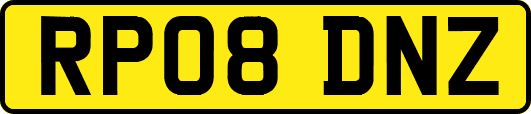RP08DNZ