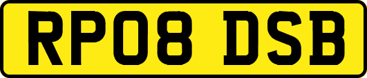 RP08DSB