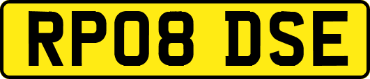 RP08DSE