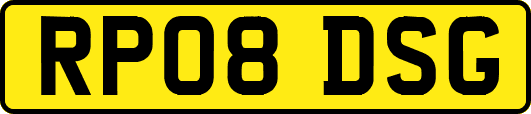RP08DSG