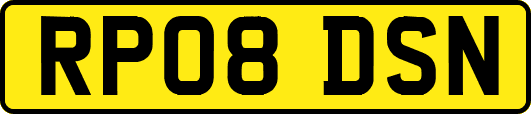 RP08DSN