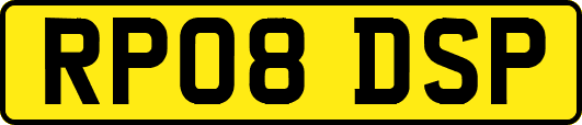RP08DSP