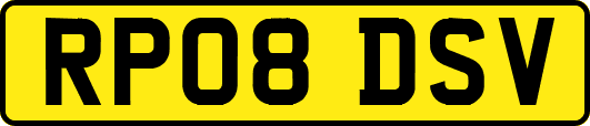 RP08DSV