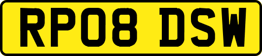 RP08DSW