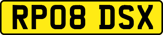 RP08DSX