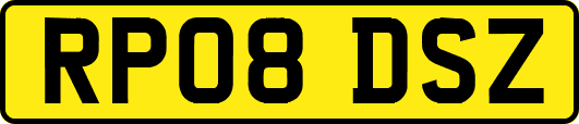 RP08DSZ