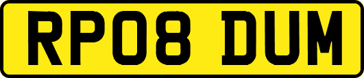 RP08DUM