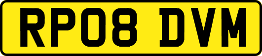 RP08DVM