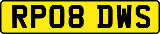 RP08DWS