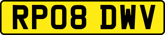RP08DWV