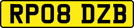 RP08DZB